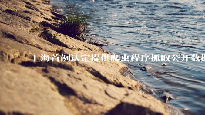 上海首例认定提供爬虫程序抓取公开数据构成提供侵入计算机信息系统程序罪案，该案件有哪些细节值得关注？