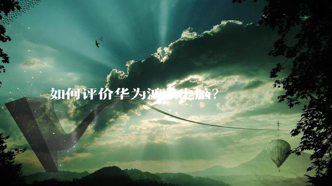 如何评价华为鸿蒙电脑？
