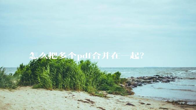 怎么把多个pdf合并在一起？