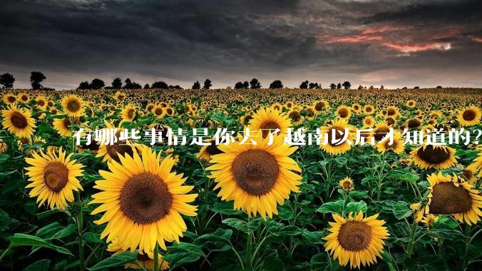 有哪些事情是你去了越南以后才知道的？